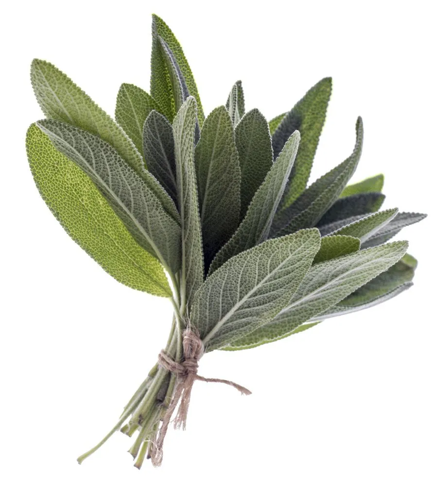 Desert Sage Pure Essential Oil Blend