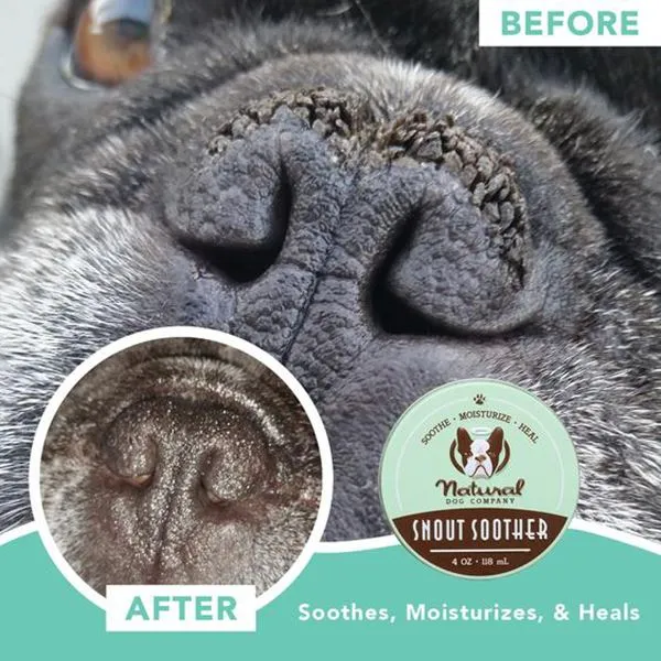 NATURAL DOG COMPANY - Snout Soother - 2 oz Tin