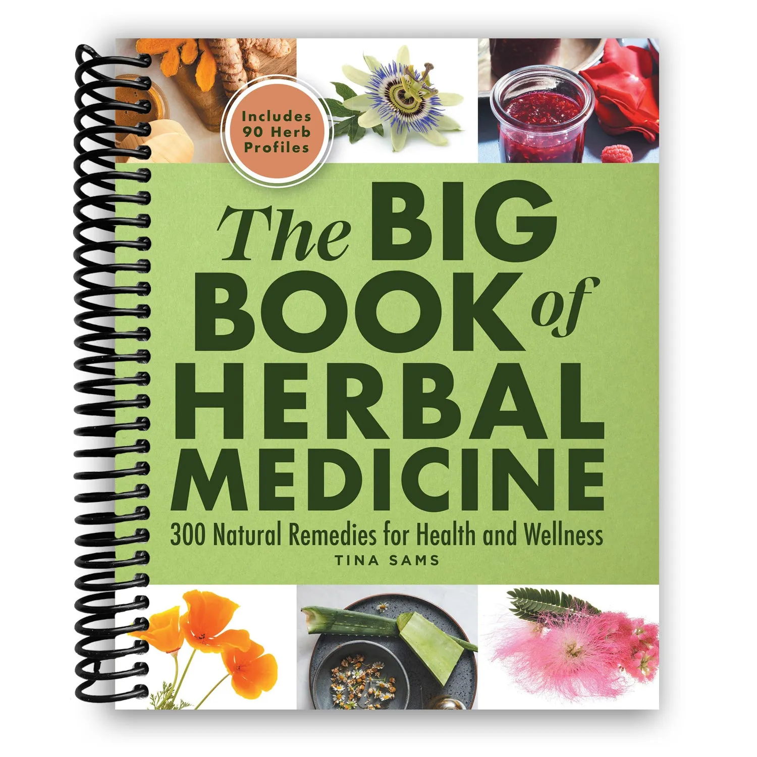 The Big Book of Herbal Medicine: 300 Natural Remedies for Health and Wellness (Spiral Bound)